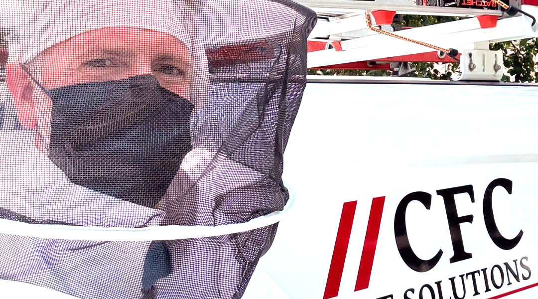 About CFC Pest Solutions